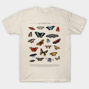 Vintage Butterfly Chart T-Shirt